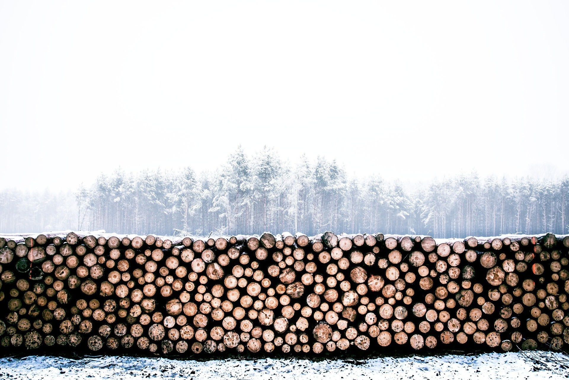 Logs