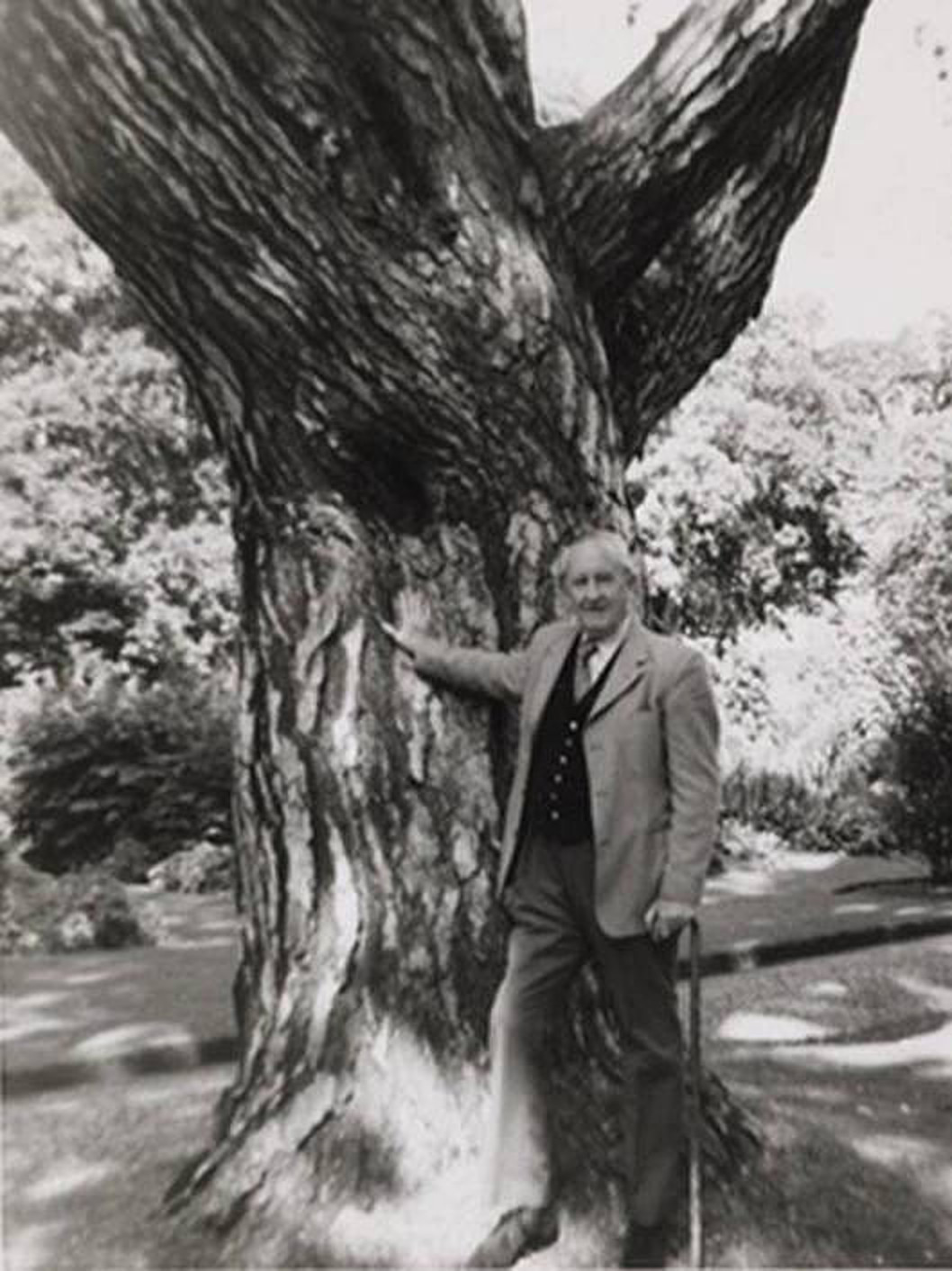 Tolkien at Oxford Botanical Garden / source unknown