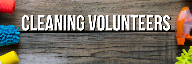 Mass Cleaning Volunteers