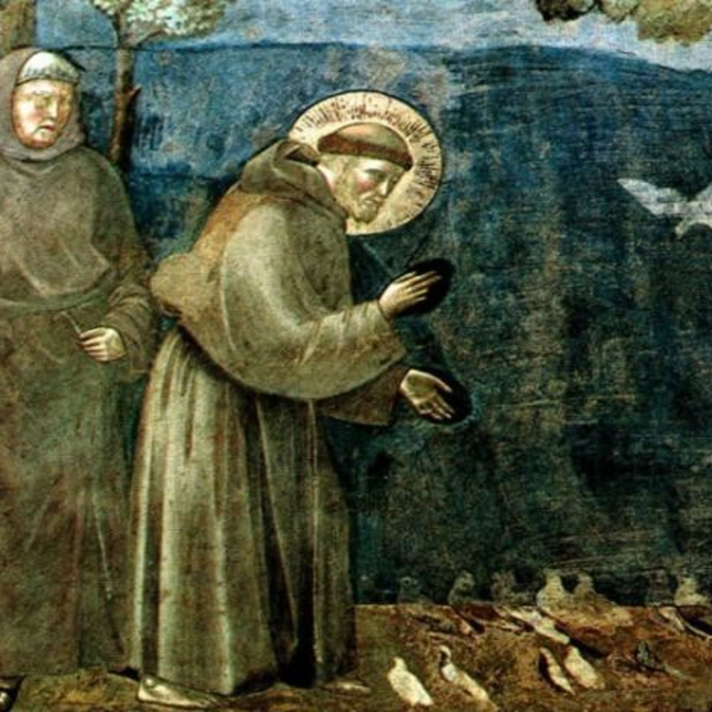 St Francis Of Assisi Icon By Theophilia D85whr3